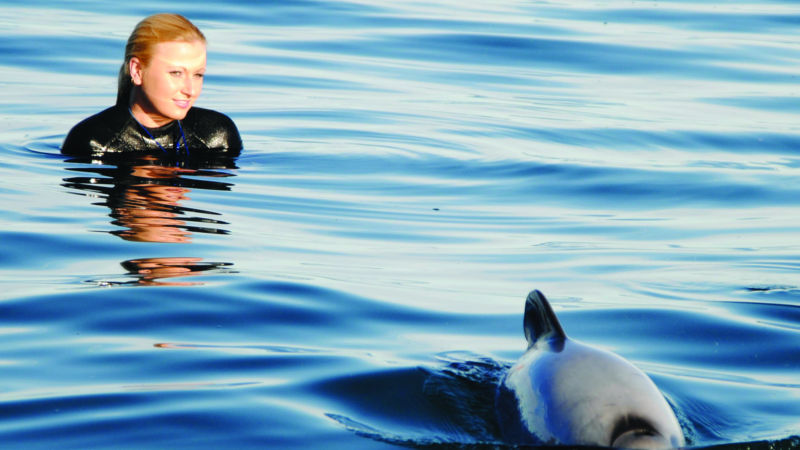 The only place on the planet, where you can get close to the world's smallest and rarest dolphin, the Hector's Dolphin. Simply rare and unique.